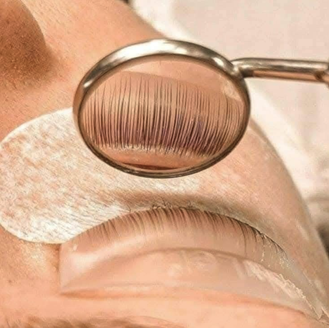 Lash lift result close-up
